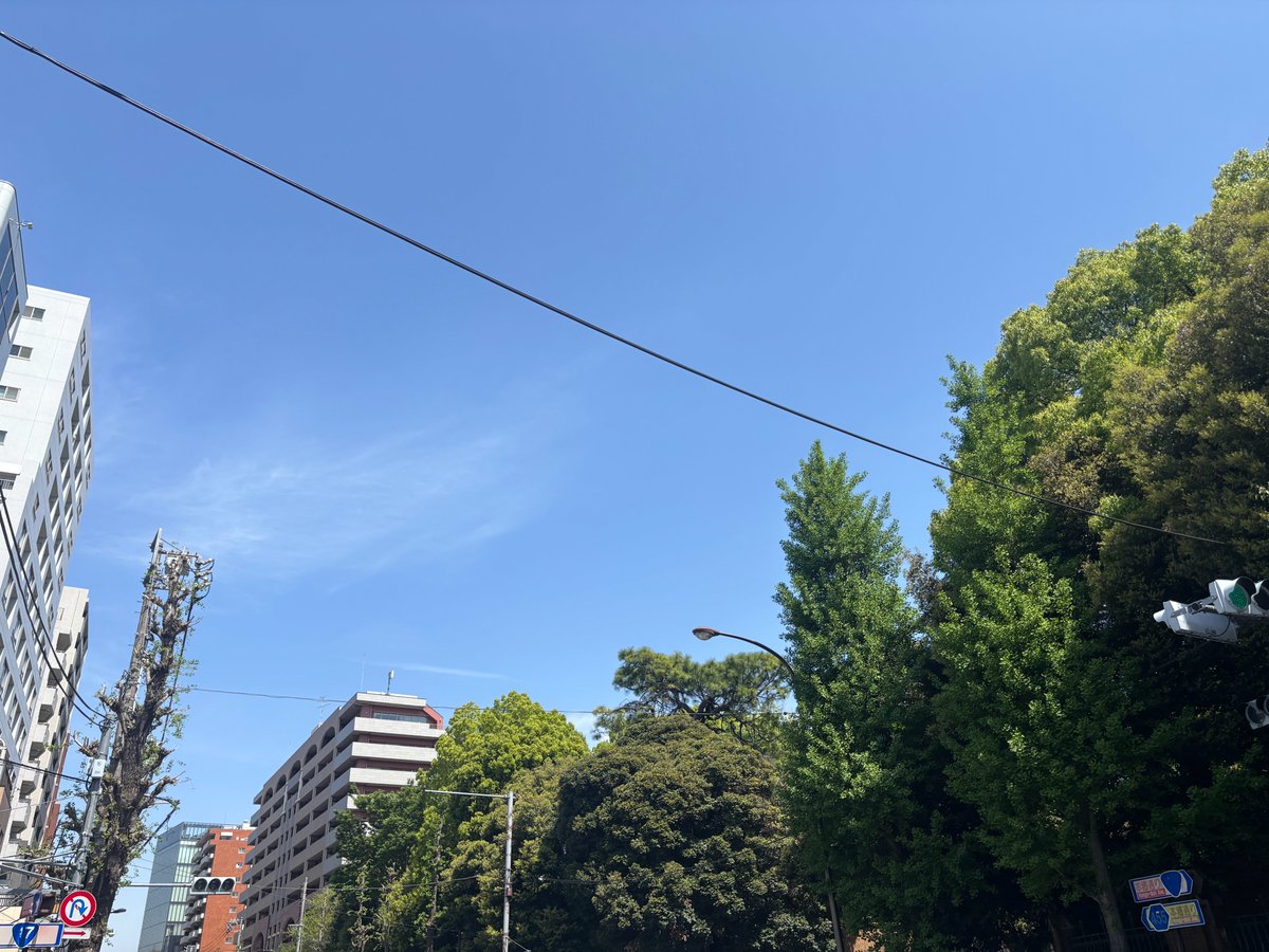 おはようございます✨
今の #文京区 西片の天気は晴れ☀気温は16℃

今日は #恐竜の日 半袖が必要になるくらい暑くなってきましたね

皆さま、良い一日を😁

#今日は何の日
#イマソラ
#公式企業が地元の天気を言い合う