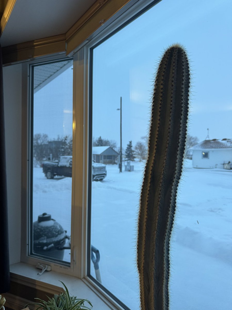 rgstone1's tweet image. Yard light came on 8:12 today  #agtwitter #yardlightupdates