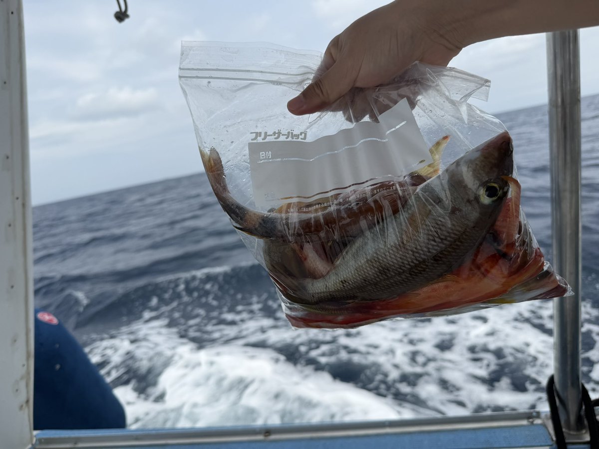 币圈福利哥 tweet media