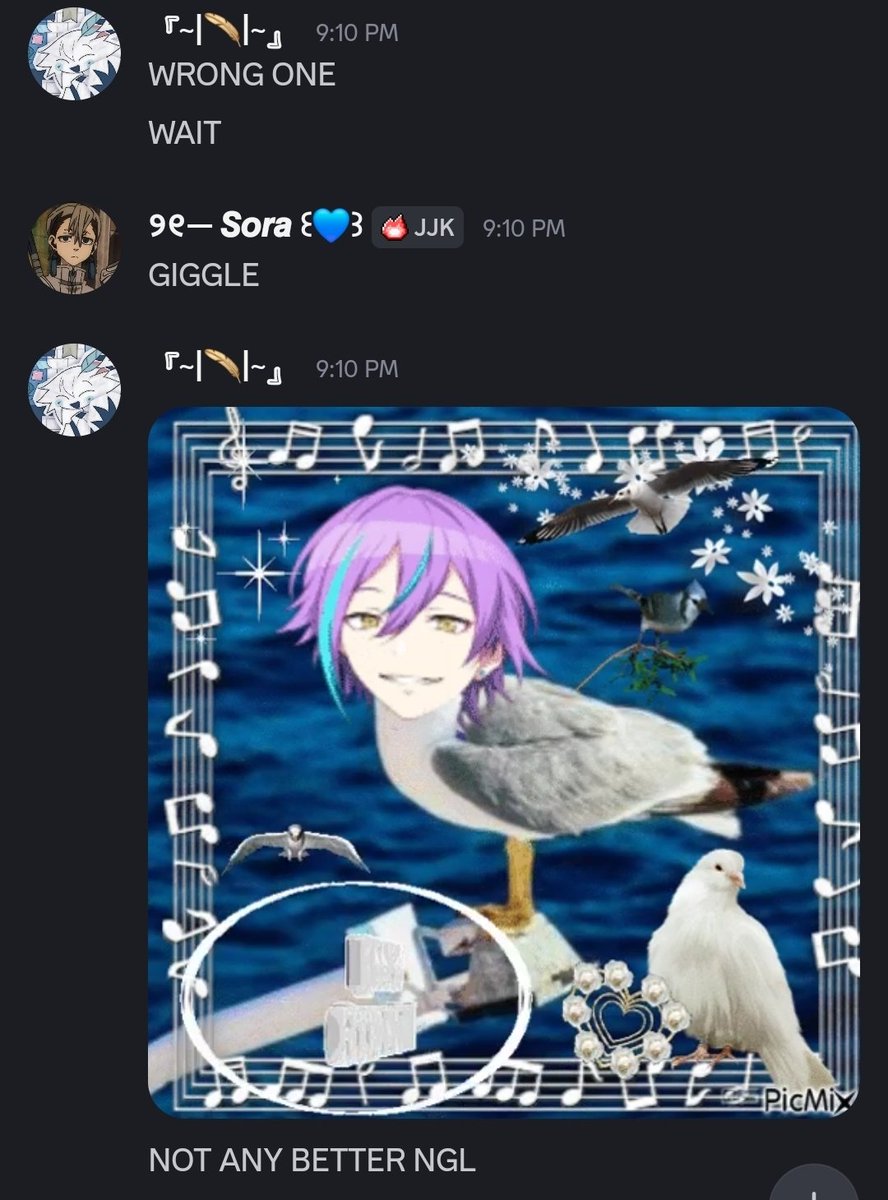 |◇Tulip◇| tweet media