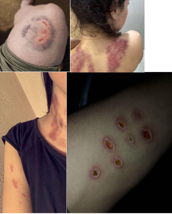 Jea Smith♂Pronouns∞Thou Thee Thy Thine 3xSuspended tweet media