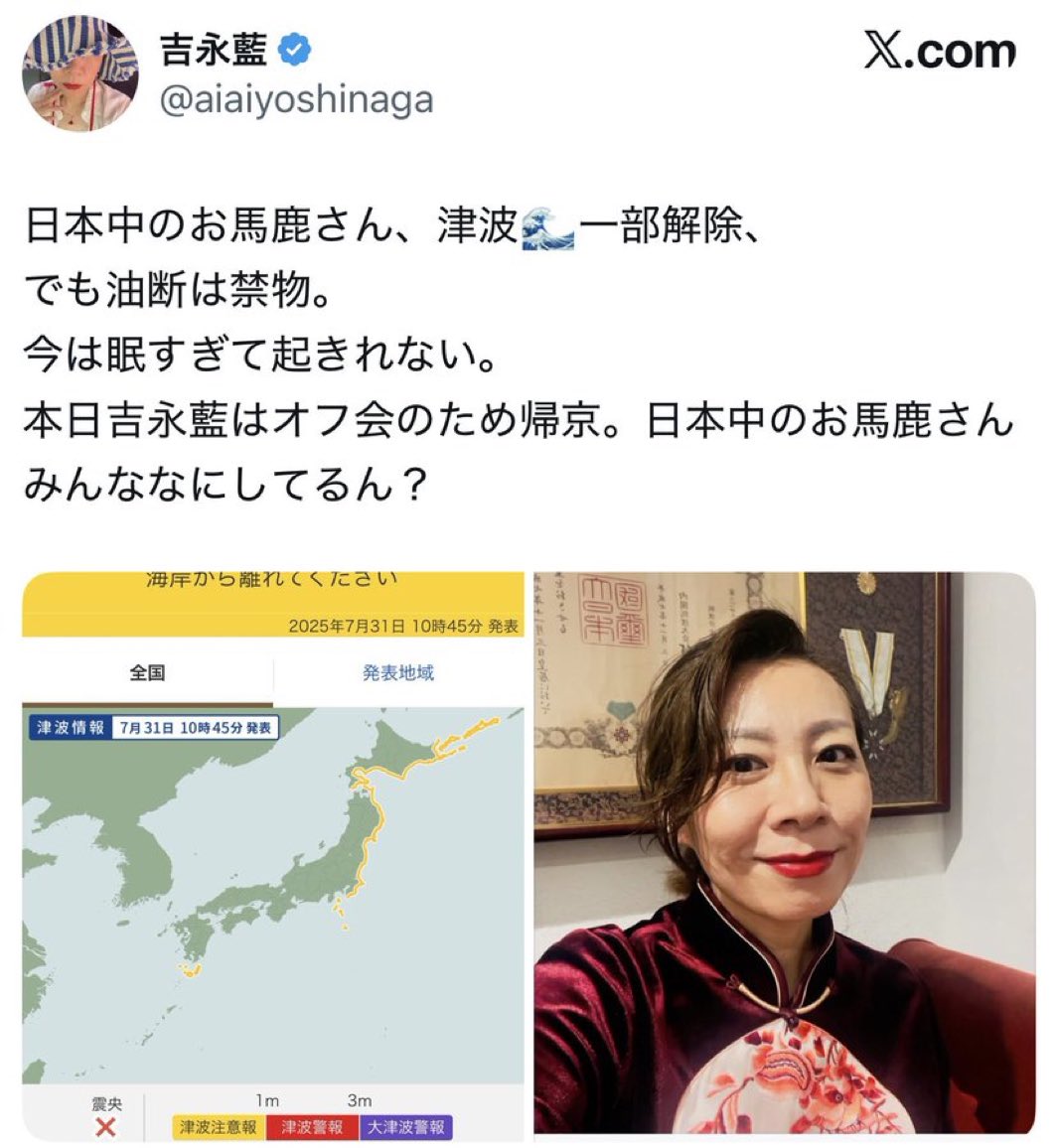 B-2 スピリット爆撃機🔸 tweet media