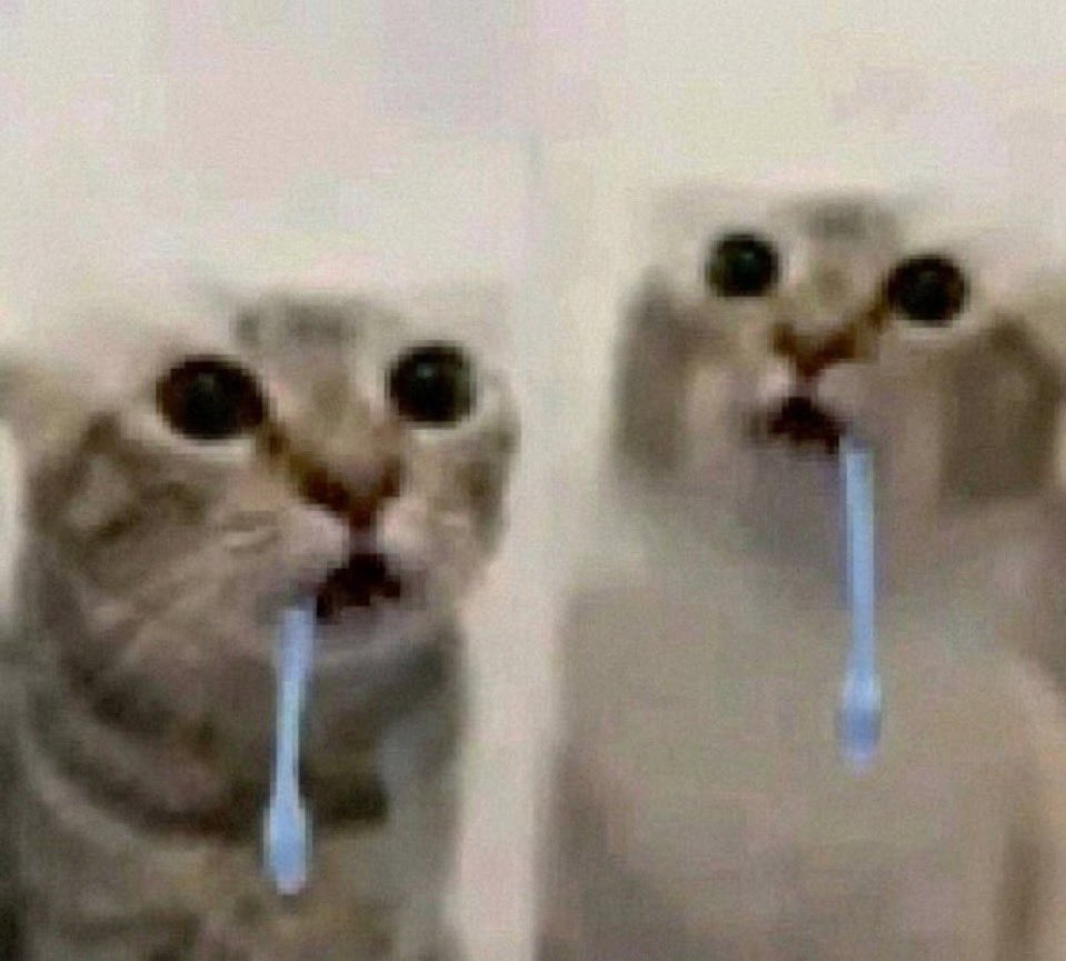 angiyami ᥫ᭡ lesbiantwt tweet media