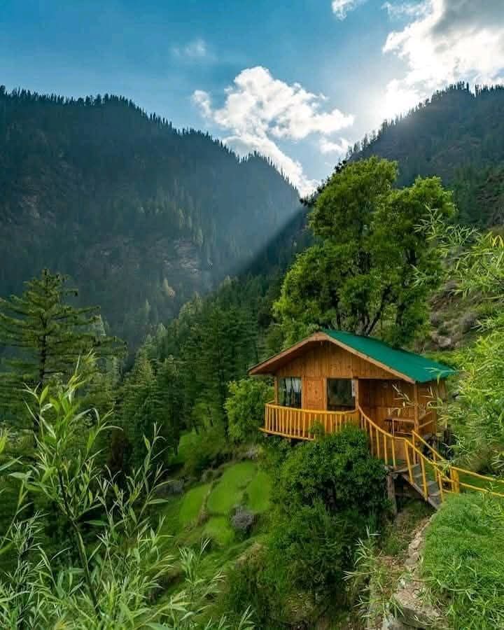 Vic_k_ey's tweet image. A tranquil and unexplored lush green paradise in the lap of #Himalayas...

#GoodMorning #Pals 🌄🍀🐦
Wish you a marvelous #Friday
Warm regards🌲🌹🙏

#IncredibleIndia 🇮🇳-Picturesque &amp;amp; enchanting Jibhi, Banjar Valley, Kullu, #Himachal.. Here a small homestay of Jibhi is in view...