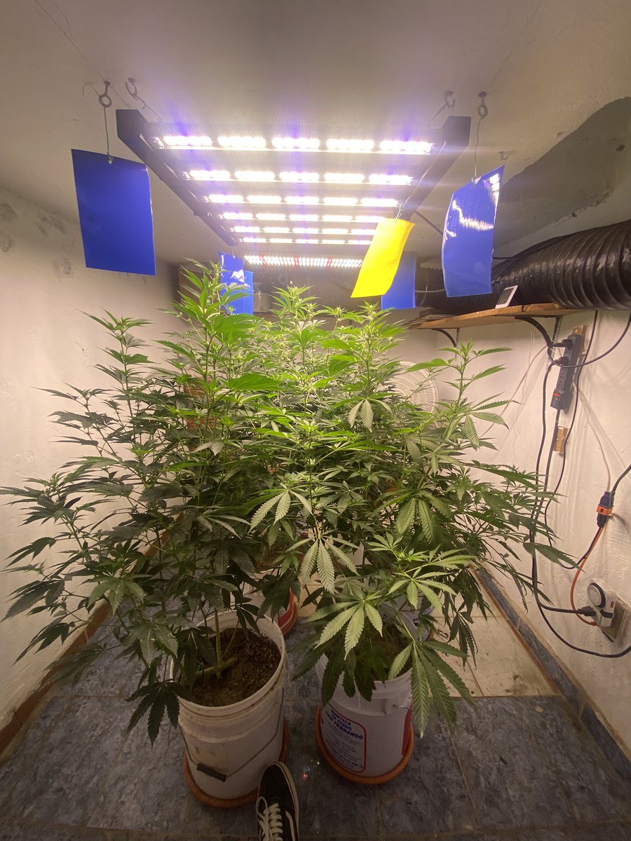 Tenochtihash tweet media