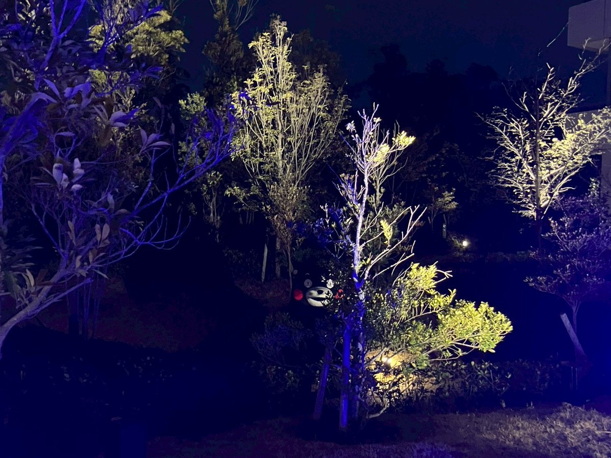 熊本県大阪事務所 tweet media