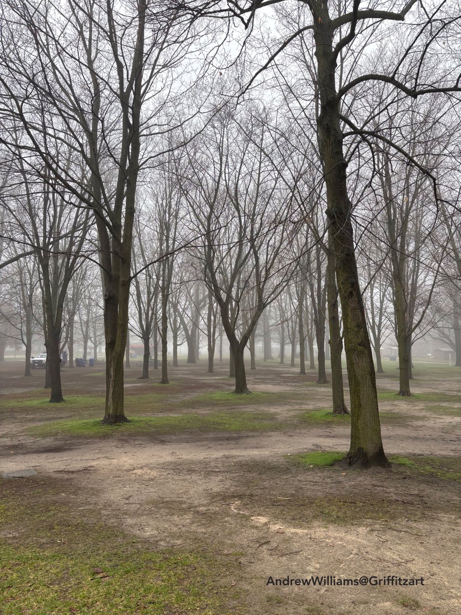 griffitzart's tweet image. foggy spring morning
#photos 
@BrindusaB1 @TBGTNT @LanaToro21 @marmelyr @kse_salman @marizulca @ampomata @SandroBrizzola4 @HaroldWNelson @peac4love @Biagio960 @fryld @monicasloves @castellanosce_ @agustin_gut @MaryBroderson @uberhorsey @VivMilano @MomiraMonika @Dropping_Facts