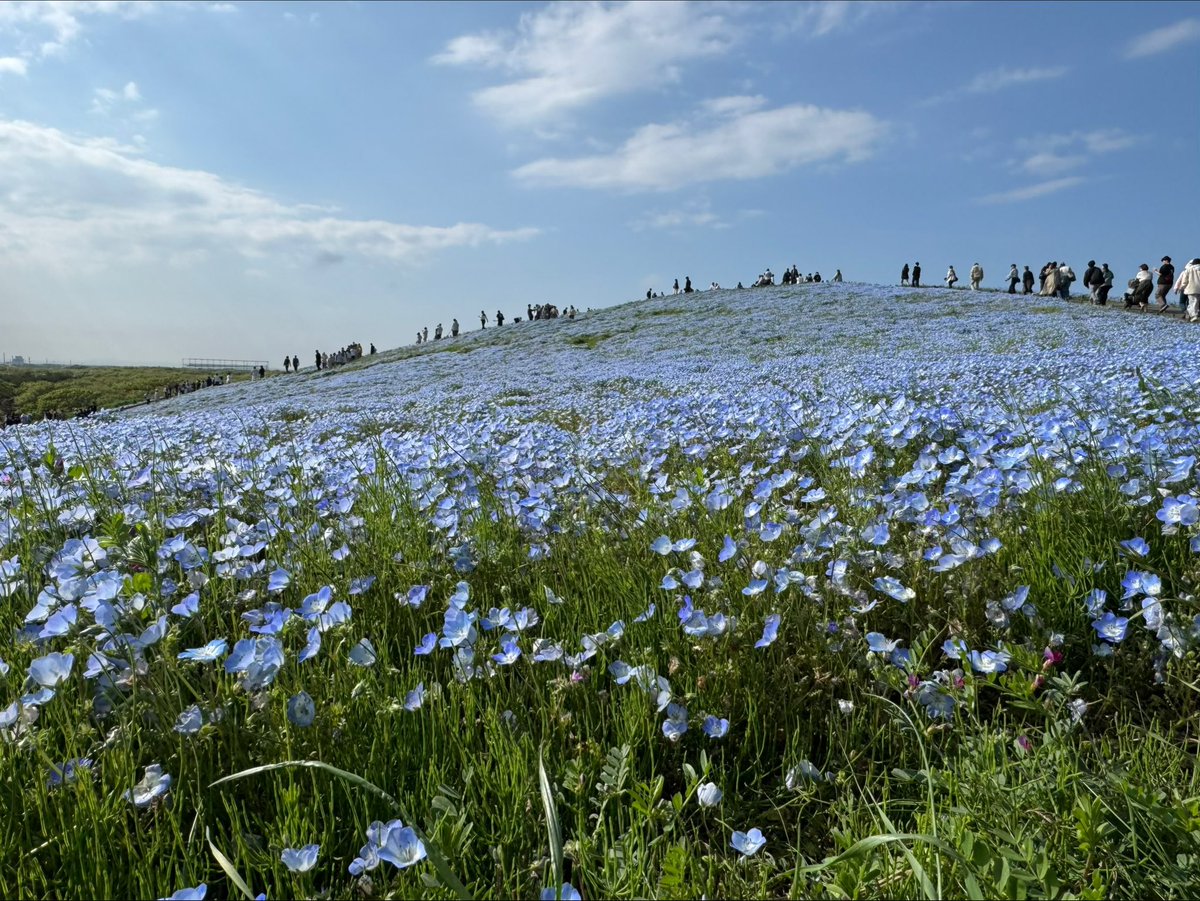 ファビポロ🩵🤖 tweet media