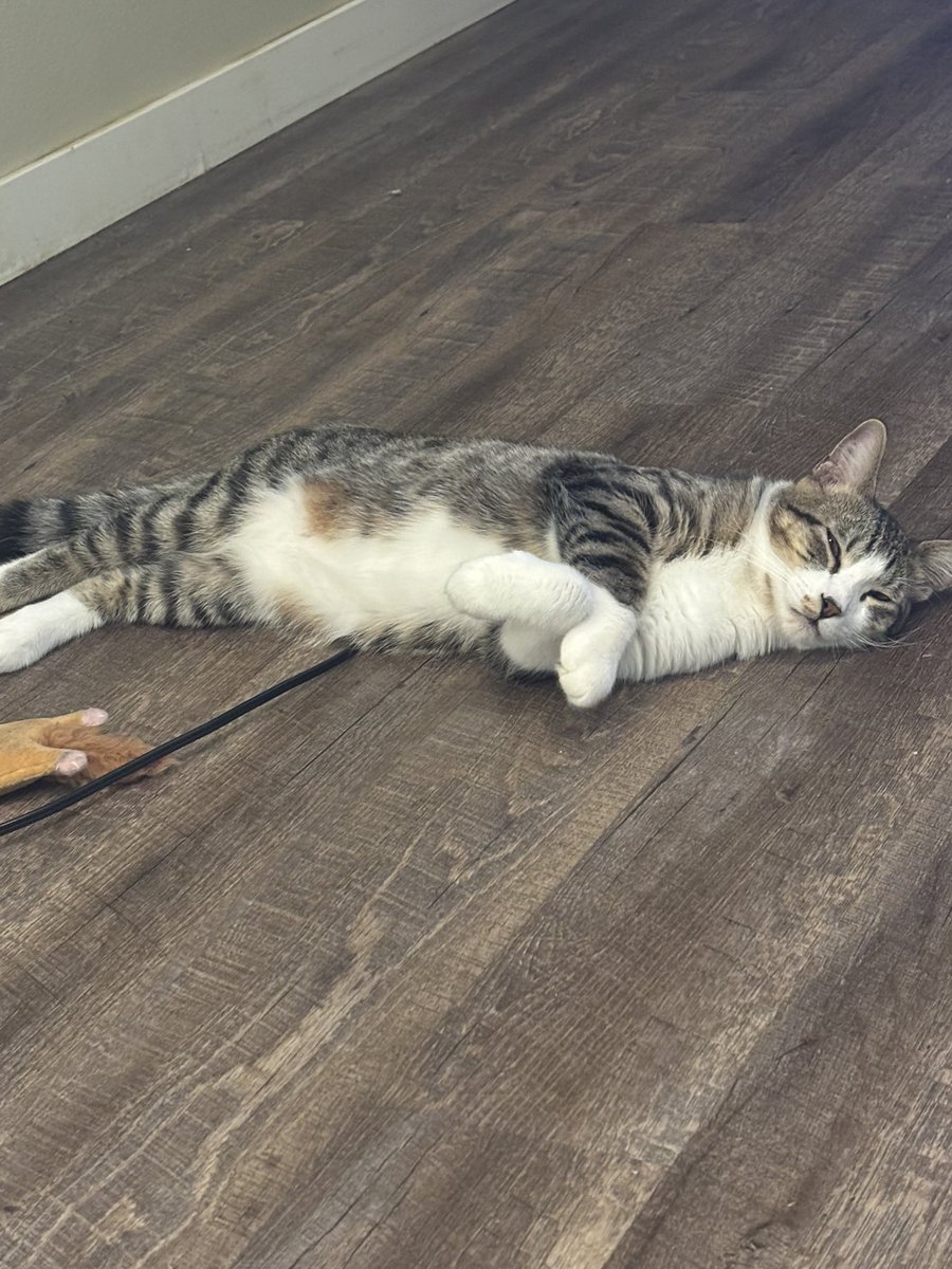 𝕸𝖆𝖗𝖆𝖓𝖉𝖆 tweet media