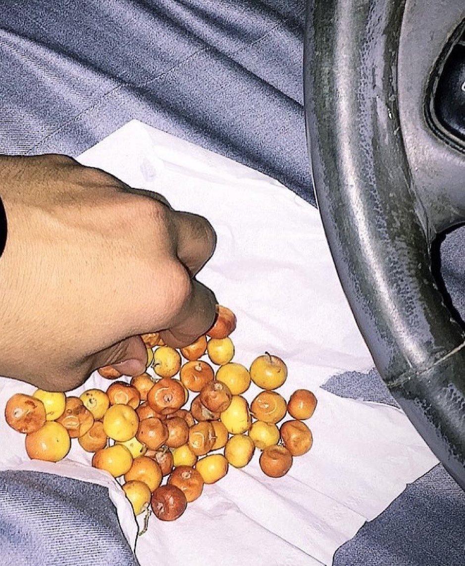 مريم البابطين tweet media