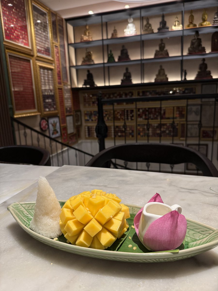 Timothy Sykes tweet media