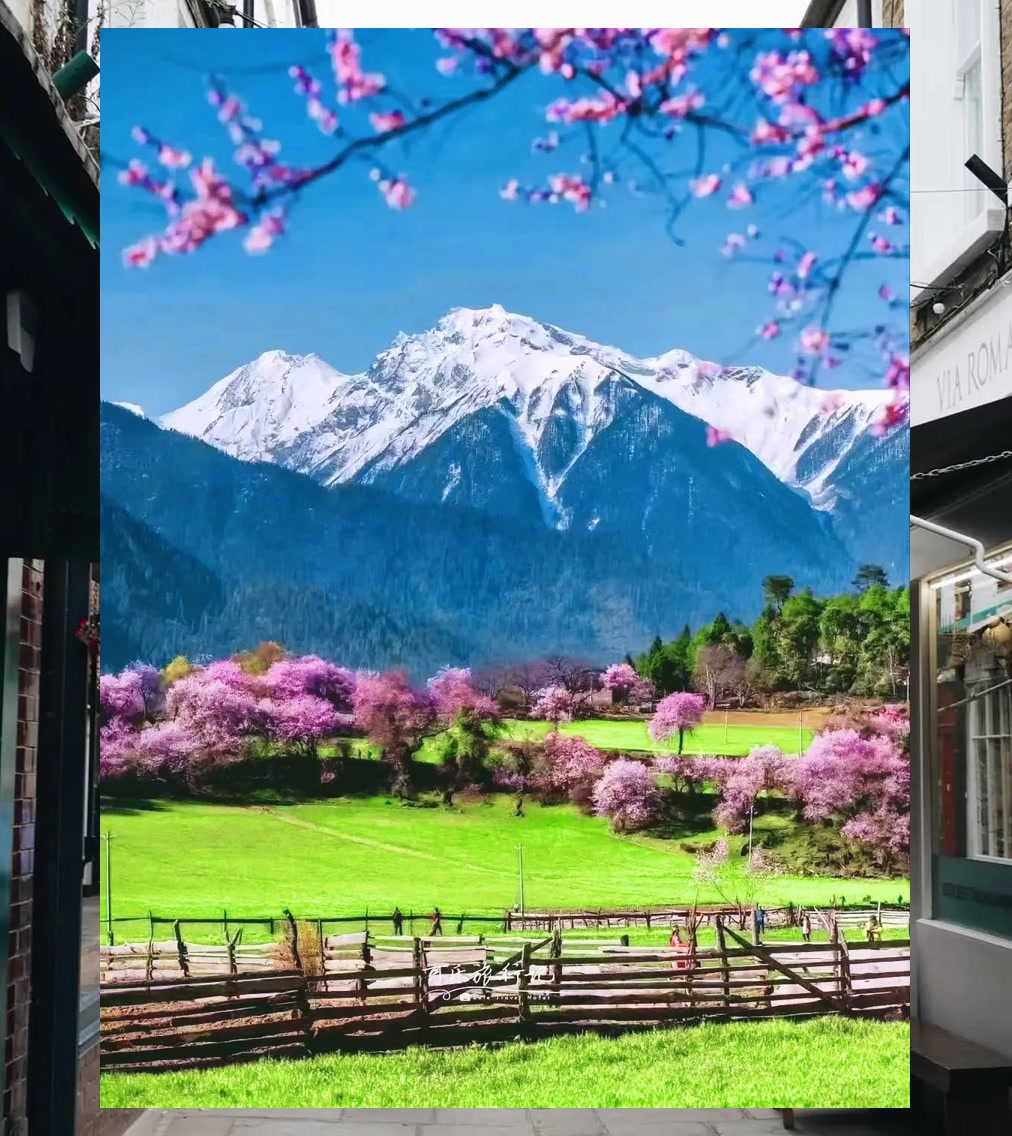 Terry Lewis tweet media