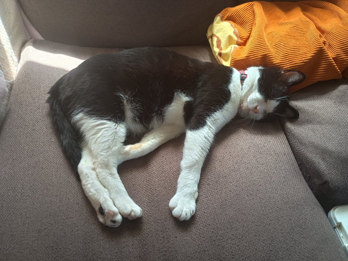 カルマ tweet media