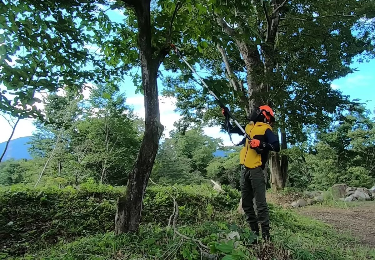 KebtekJ's tweet photo. 🌳【KT9035】
脚立に乗らずに剪定できる安心感。
毎日の作業がぐっと安全に。🛡️
#kebtek #ガーデニング #剪定工具 #園芸 #造園 #電動剪定鋏 #庭師 #電動鋏 #庭手入れ #果樹園 #電動剪定バサミ #庭仕事 #庭作業 https://t.co/tGUN3rohXV