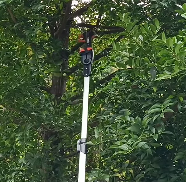 KebtekJ's tweet photo. 🌳【KT9035】
脚立に乗らずに剪定できる安心感。
毎日の作業がぐっと安全に。🛡️
#kebtek #ガーデニング #剪定工具 #園芸 #造園 #電動剪定鋏 #庭師 #電動鋏 #庭手入れ #果樹園 #電動剪定バサミ #庭仕事 #庭作業 https://t.co/tGUN3rohXV