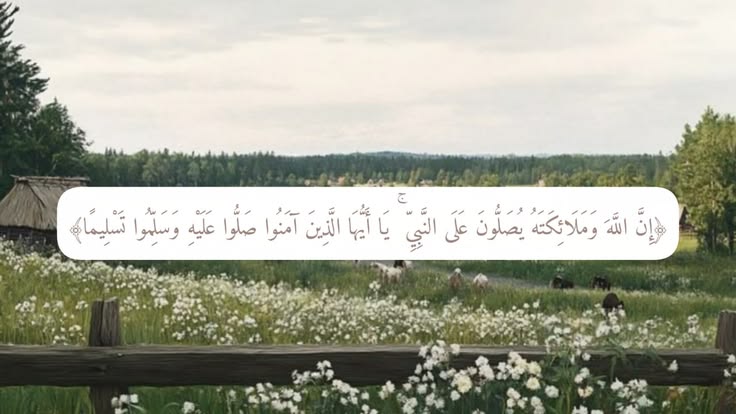 ْ tweet media