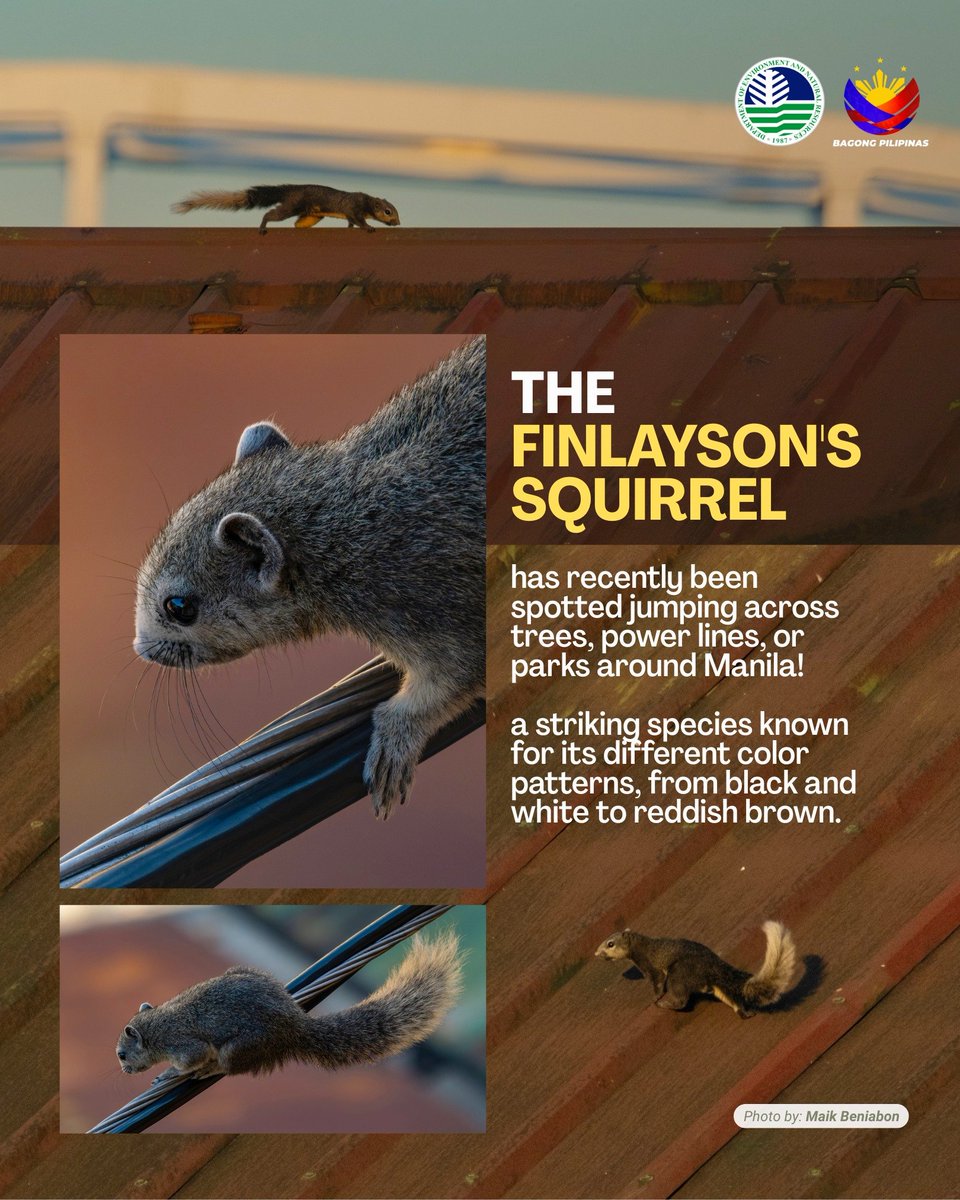 ABS-CBN News tweet media