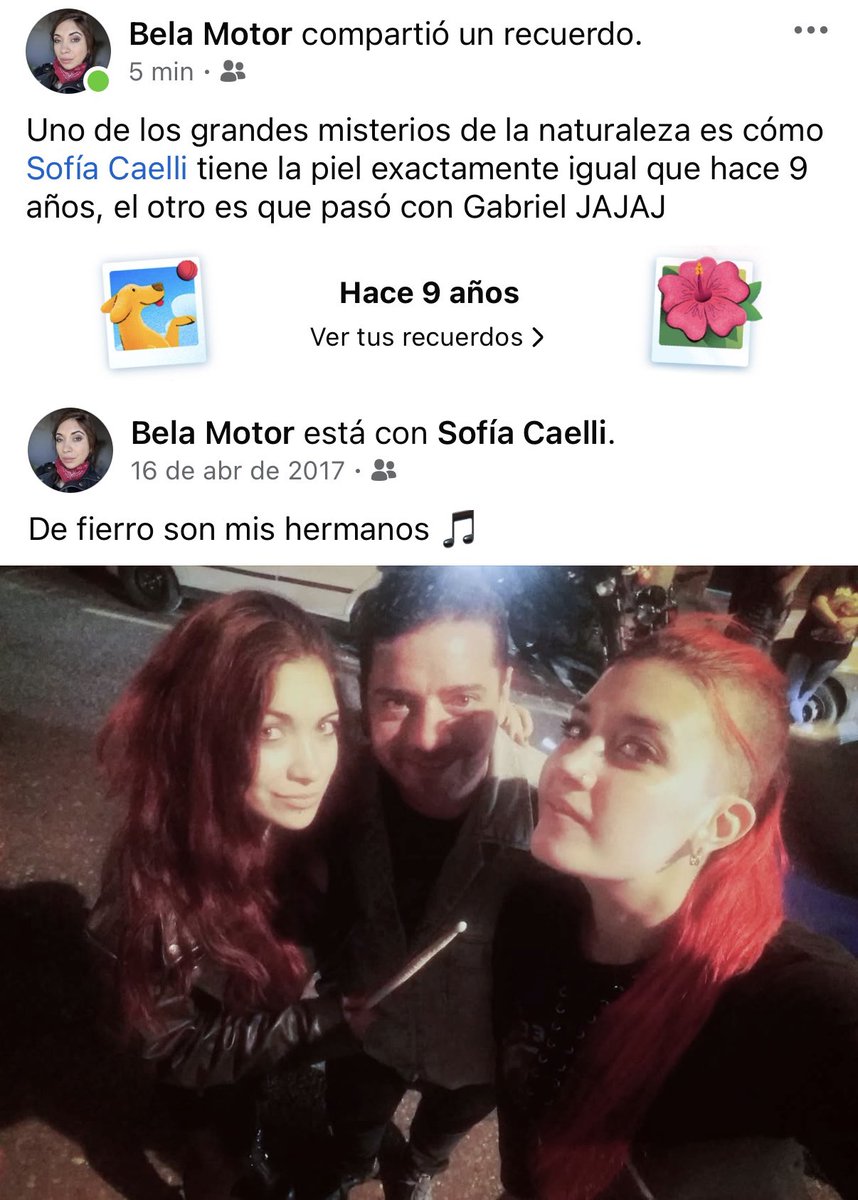 Wolfy 🌈🦄 tweet media