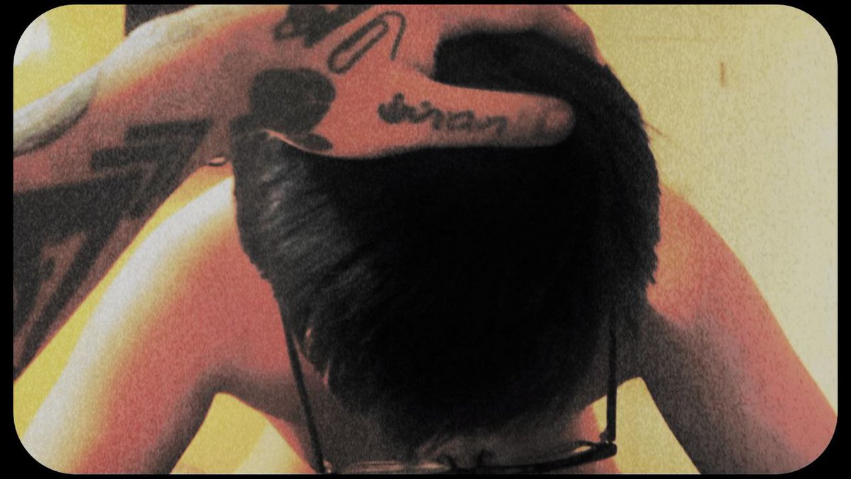 ✿ harley ✿ tweet media