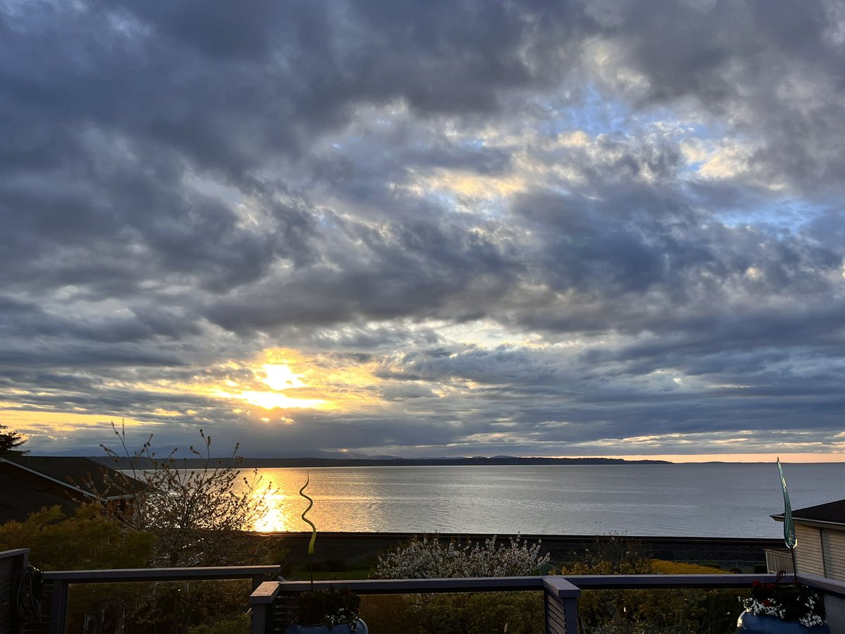 MatthewRyanCase's tweet photo. GN from the shores of the Salish Sea. #NoFilter #PNW #UpperLeft https://t.co/SNHn93kY22
