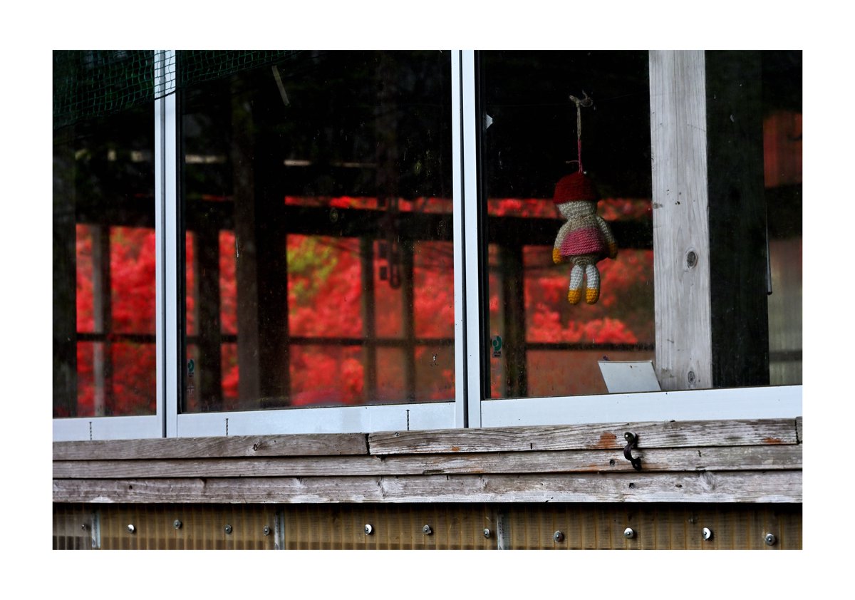 .  
 『風景写真』      

窓。。。      

#風景写真 #Landscape   
#九州の風景   
#日本の風景   
#japan