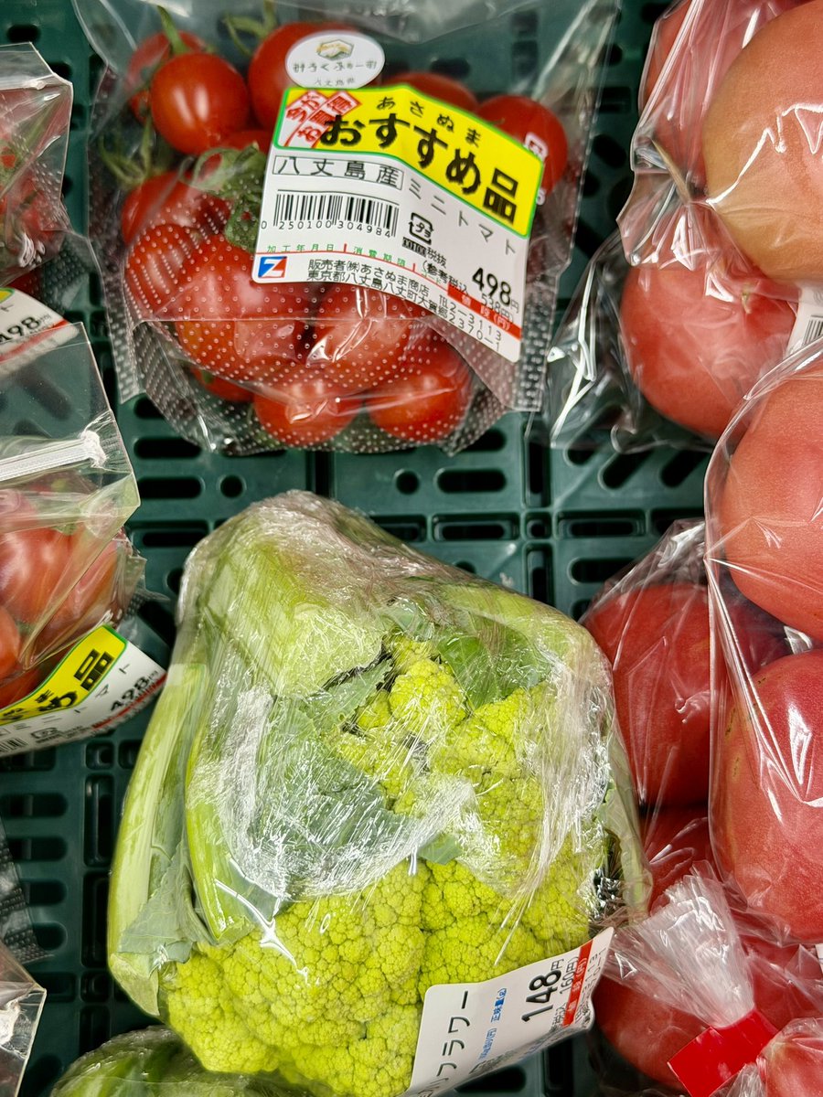 海風おねえさん🌏 tweet media