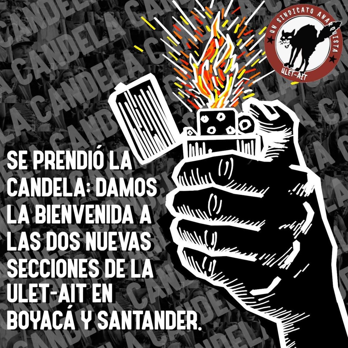 Anarchosindicalist Militant tweet media