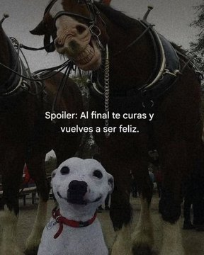 Pensamientos (@frasesimple) on Twitter photo 