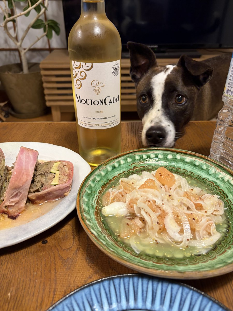 プケ&マイキード🇹🇭 tweet media