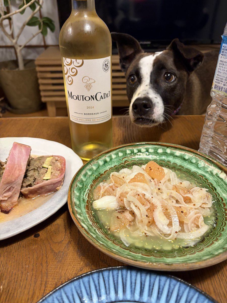 プケ&マイキード🇹🇭 tweet media