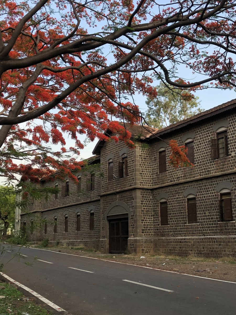 amarbarwe's tweet image. A quiet morning walk on the Fergusson College campus hits differently at this time of year. Gulmohar trees are in full bloom, a typical summer day, slight cool breeze, empty roads, and that calm only early mornings can offer. #Pune #FergussonCollege #Campus #Photography