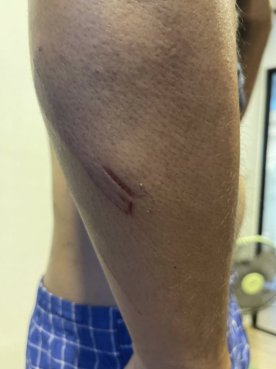 🖤🐯 tweet media