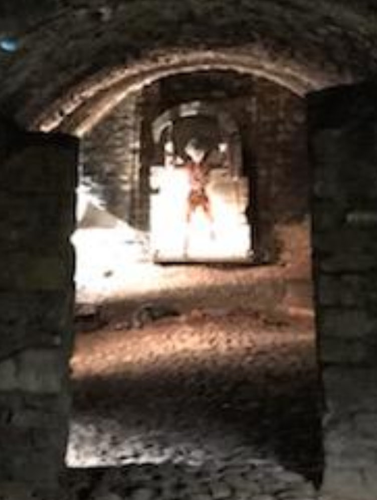 Frasier Payne tweet media