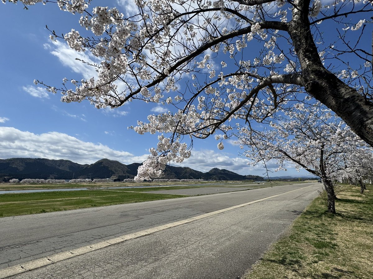 FMはなび tweet media