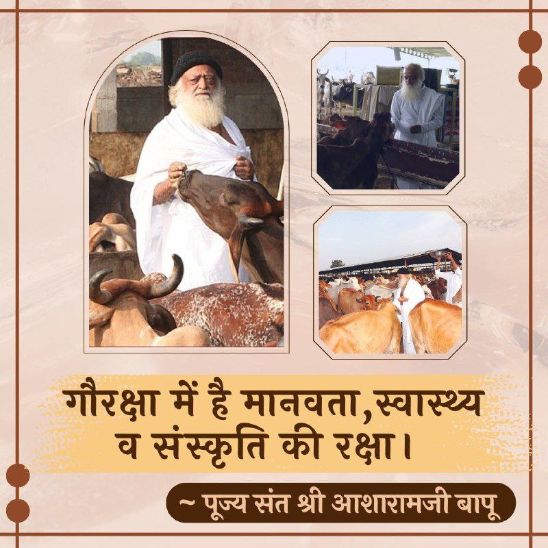 जीवमात्र के परम हितैषी गौपालक व  गौ रक्षक पूज्य Sant Shri Asharamji Bapu स्वयं गायों का विशेष ख्याल रखते है, तभी उनके मार्गदर्शन में भारत भर में सैकड़ो गौशालाएं चल रही है, पूज्यश्री का कहना है कि गाय हमें पालती हैं ना कि हम गाय को...
आइये हम भी Gau Raksha Abhiyan में भाग लेकर