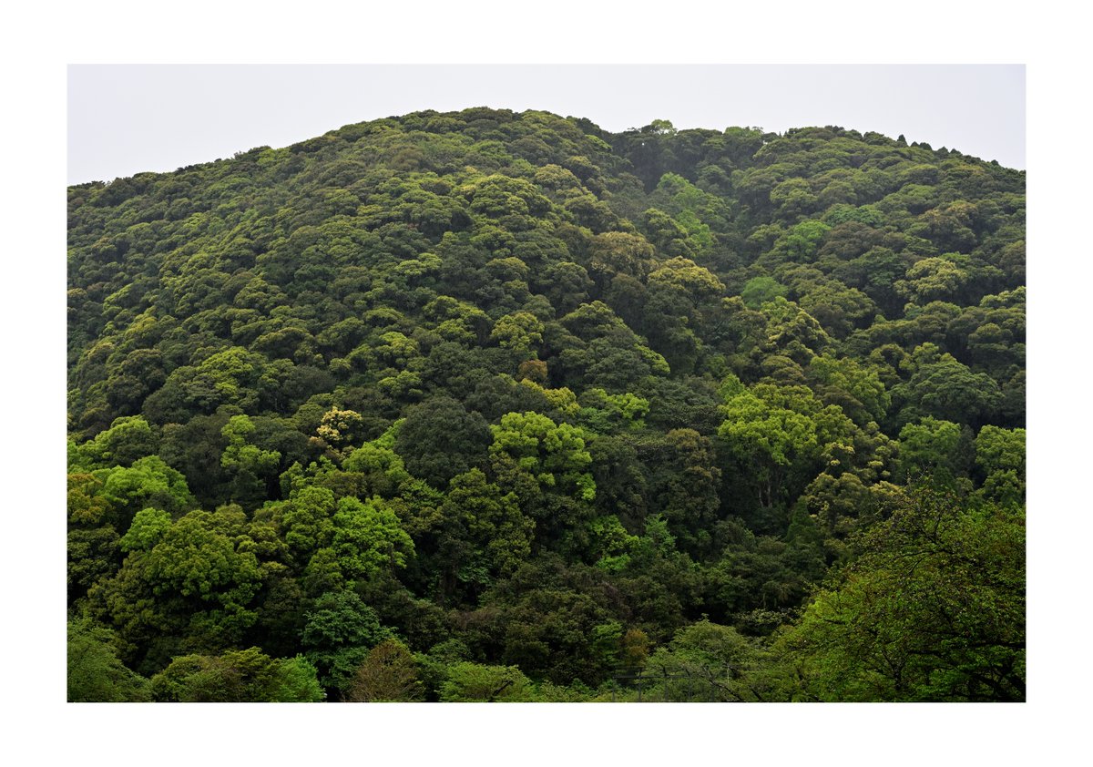 .   
『風景写真』

雨日。。。            

#風景写真 #Landscape   
#九州の風景   
#日本の風景   
#japan