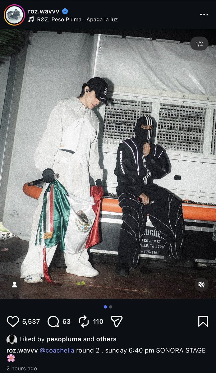 RØZ DAILY 🌸 tweet media