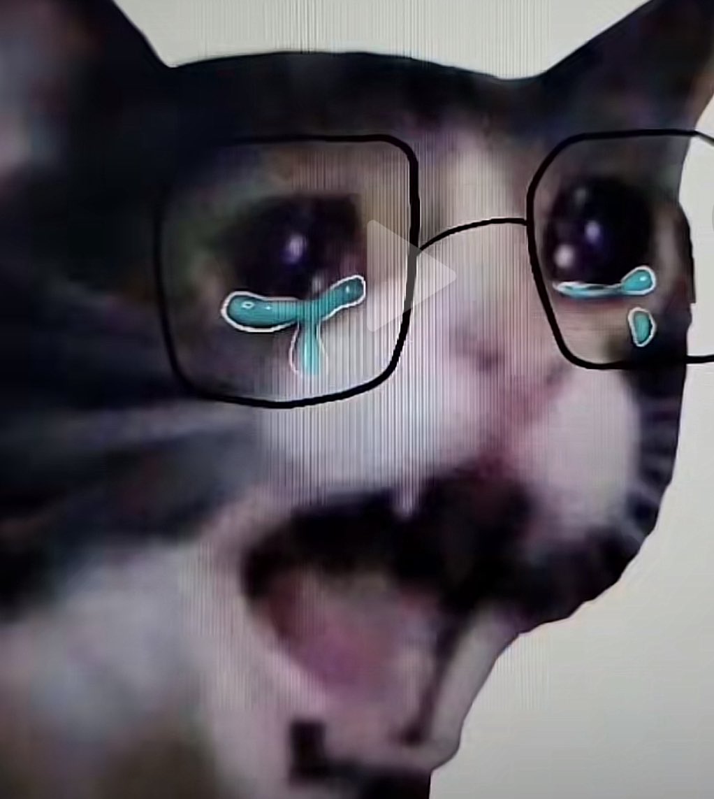 𝙎𝙪𝙯𝙪𝙠𝙖 𝙃𝙖𝙟𝙞 tweet media