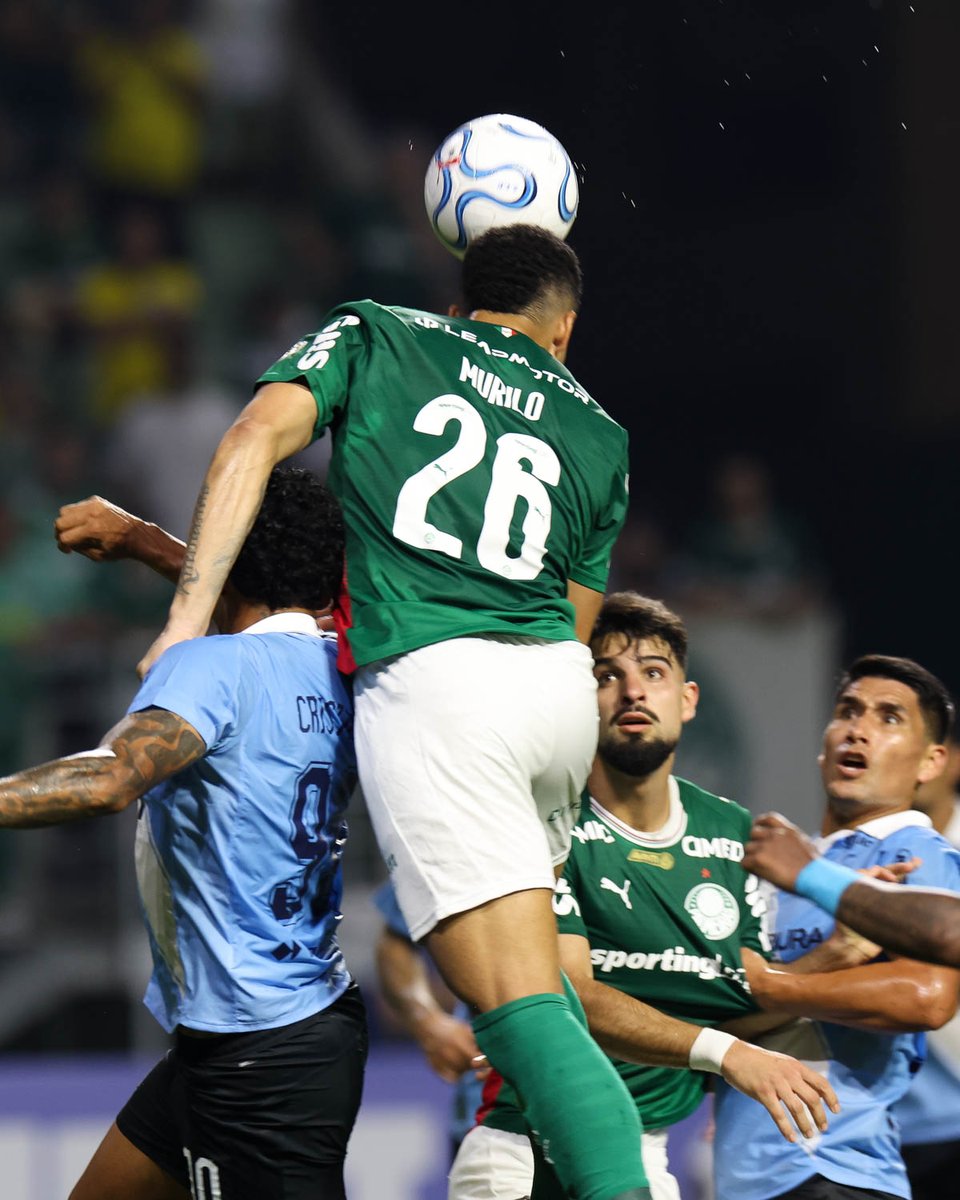 SE Palmeiras tweet media