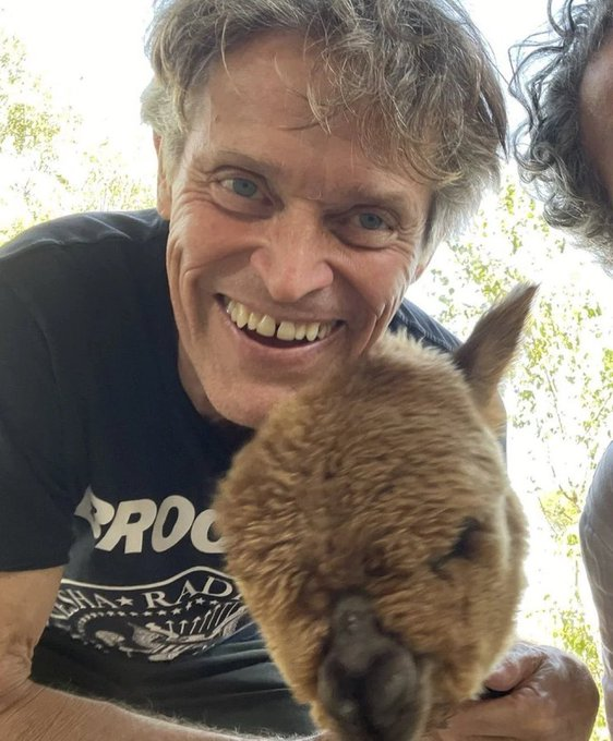 Tendencias tweet media