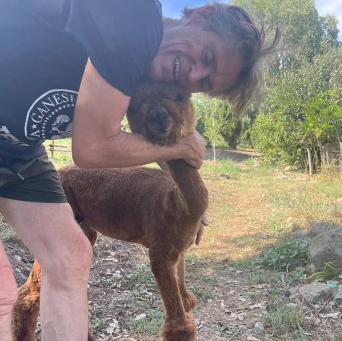 Tendencias tweet media