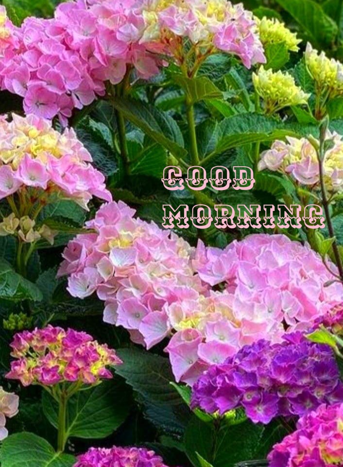 Karthika kuttan NO DM ❌🚫 tweet media