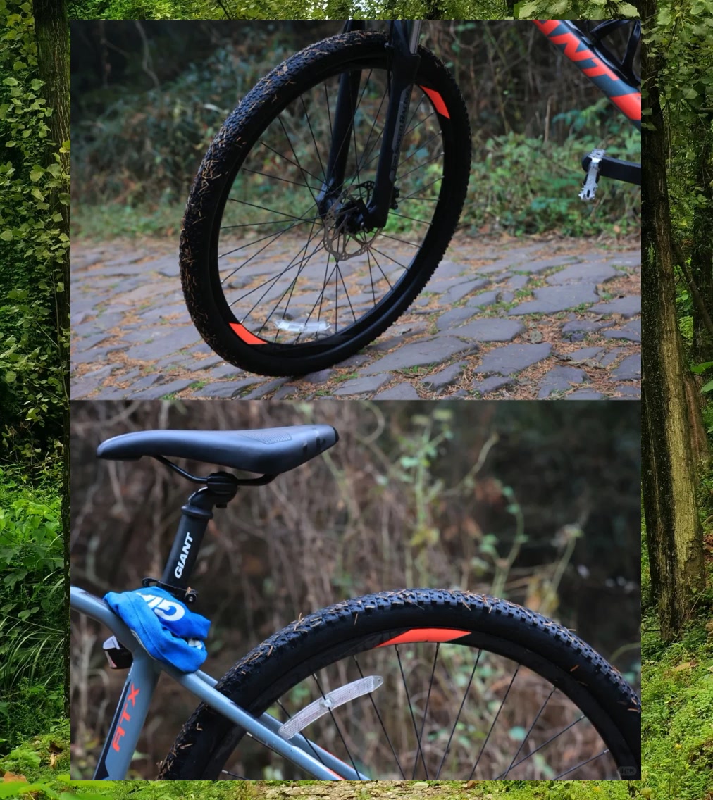 Mark Bader tweet media