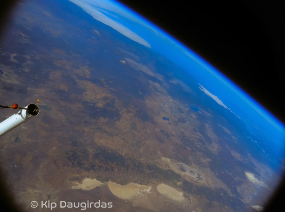 MrShonk👀👀👀👀 tweet media