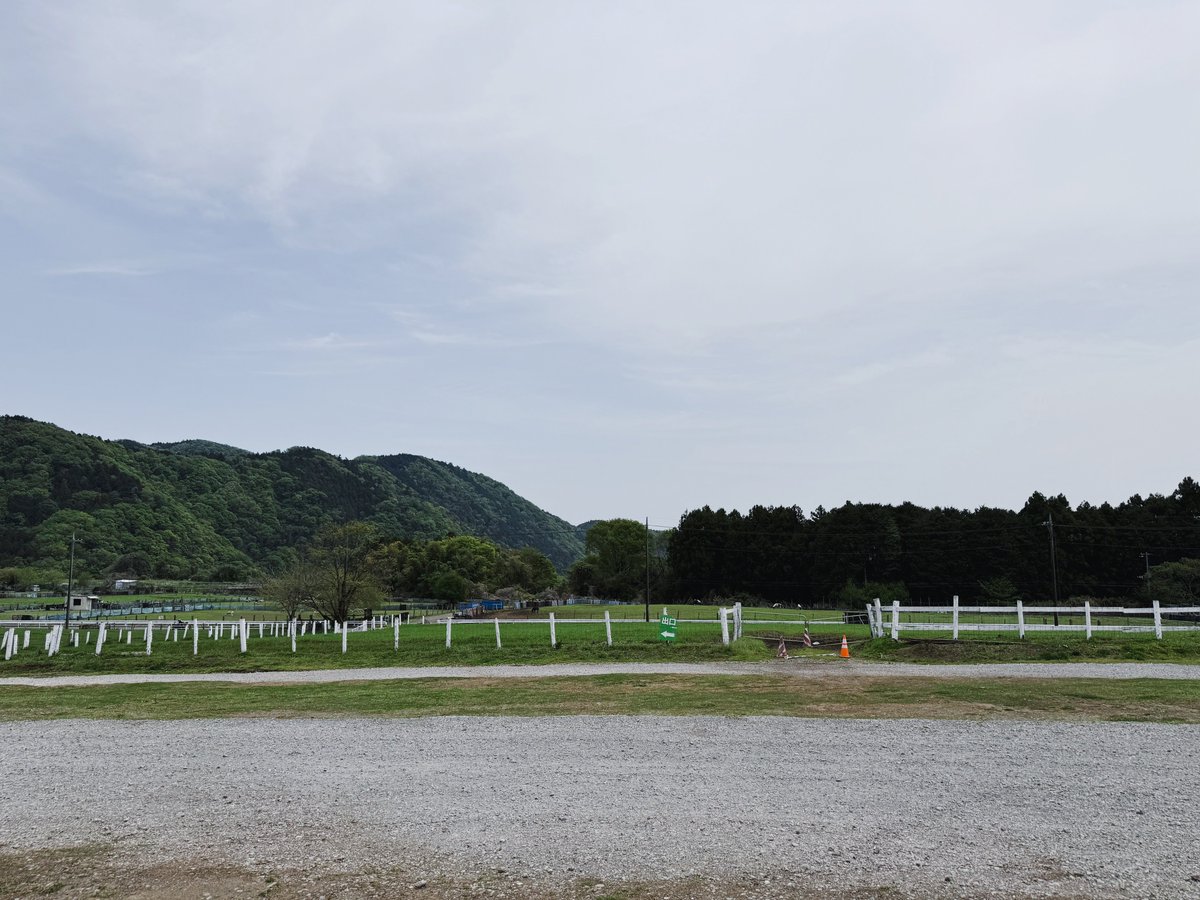 ほうじ茶 tweet media