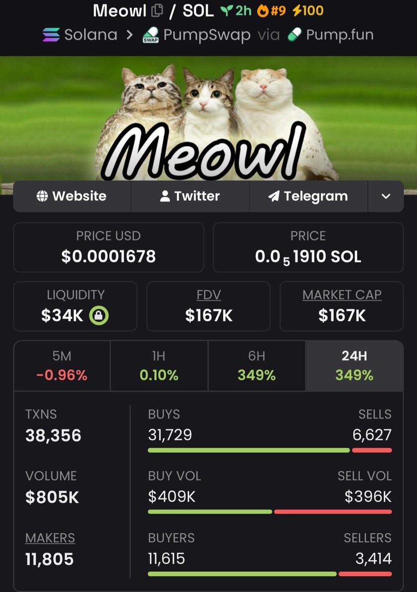 BrunaFXTN tweet media