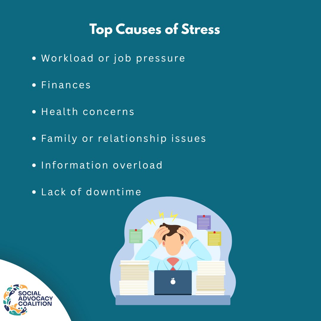 Social Advocacy Coalition tweet media