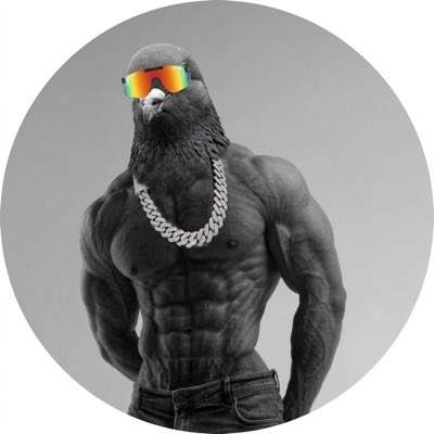 Warren Nakamoto tweet media