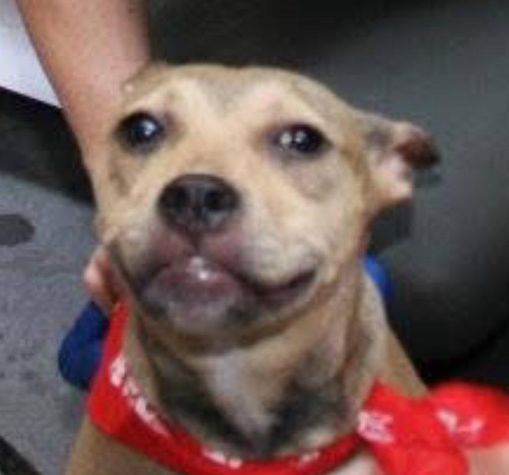 politeyounglez's tweet image. I will always come back to this one . #eyes