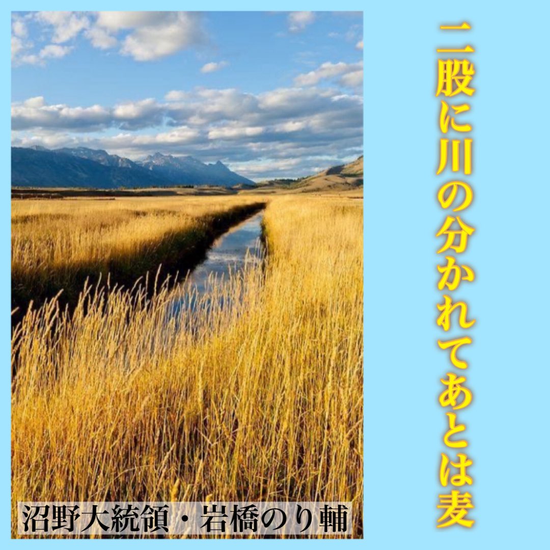 沼野大統領/岩橋のり輔🐙🇺🇸 tweet media